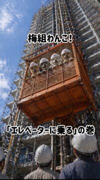 インスタ 更新中です