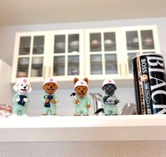 梅組わんこ！